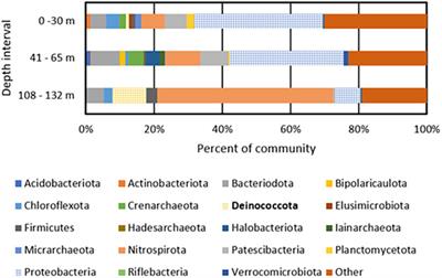 Parapatric speciation of Meiothermus in serpentinite-hosted aquifers in Oman